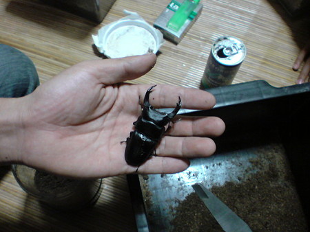 20080506094346