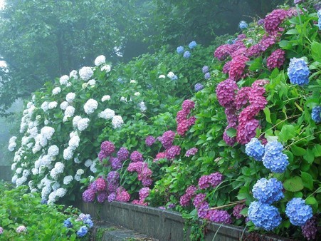 DSCN3256