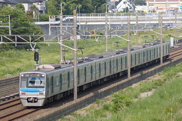 DSC05154