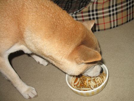 img 844