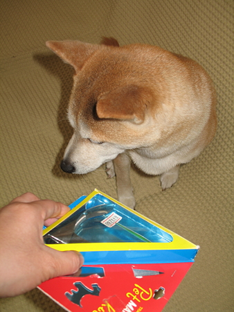 img 314