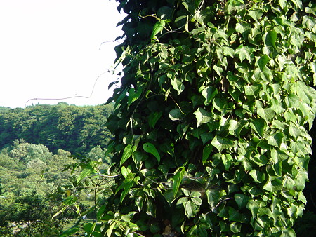 DSC00322
