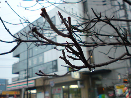 DSC00072