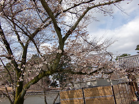 CIMG0989