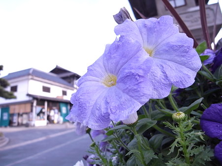 R0010046