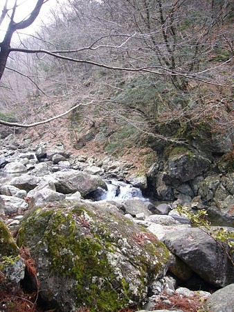 P1020656