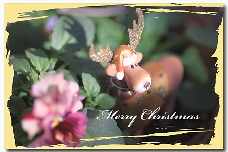 メリークリスマス~♪