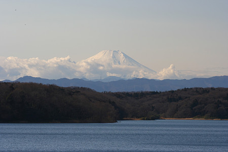 富士山(狭山湖より)
