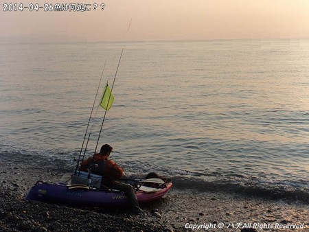 2014-04-26魚は何処に?? (3)