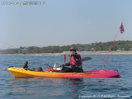 2014-04-26魚は何処に?? (5)
