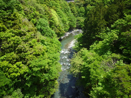 P1040004
