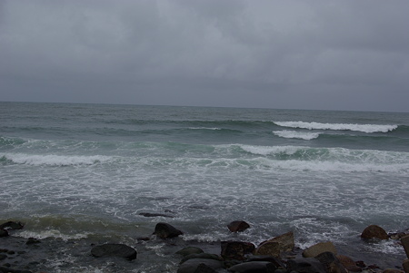 IMGP0964