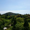 京都 清水寺より