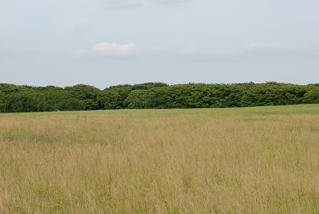 DSC_0060