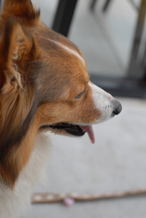 DSC_0091