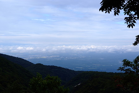 DSCF5542