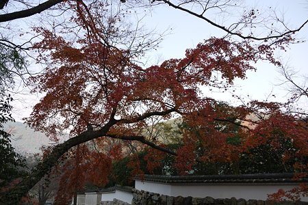 P1000573