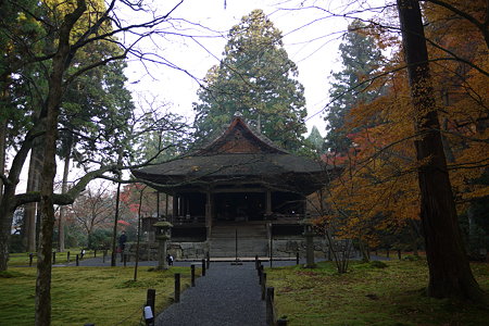 P1000612