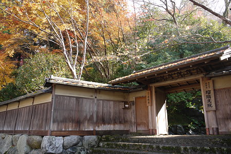 P1000698