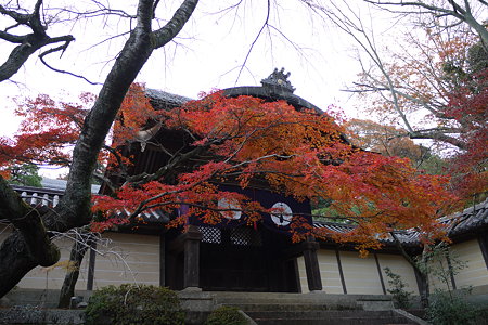 P1000788