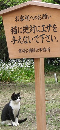 高札とハナシロ