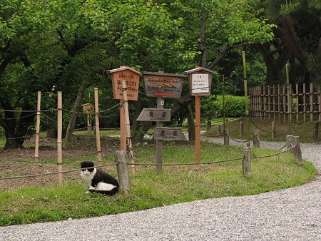 高札とハナシロ