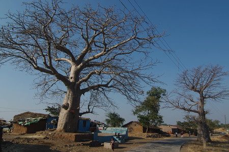 IMGP2517