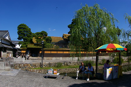 IMGP5207