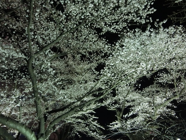 CIMG0389