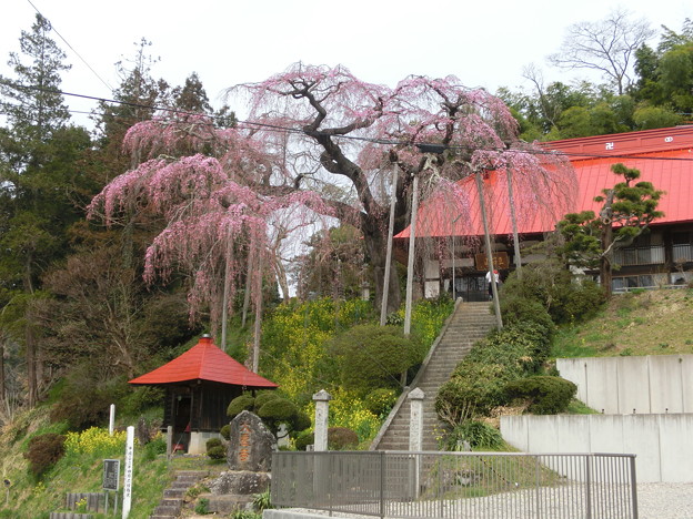 CIMG0414