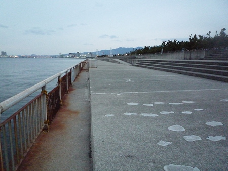 南芦屋浜ベランダ 2