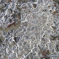 Photos: 氷つく