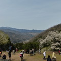 樽見の大桜から見える景色