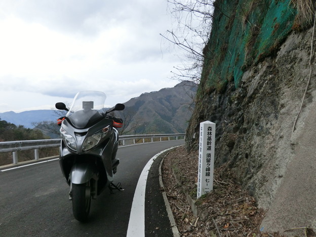 須留ヶ峰林道　平成19年年度開設標柱