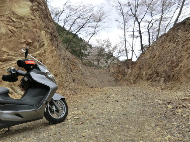 須留ヶ峰林道　未開通だった