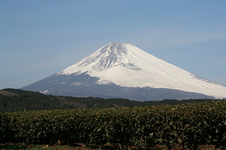 デジー 143.jpg