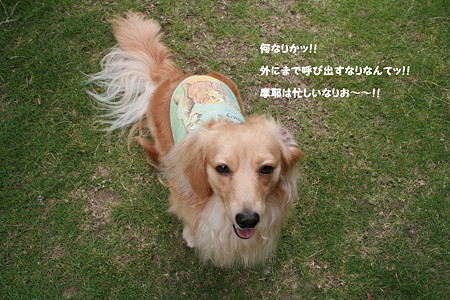 摩耶8
