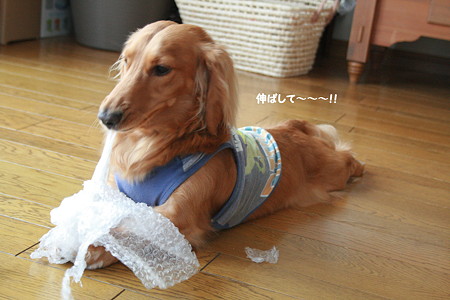 プチプチ3