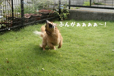 水遊び 2