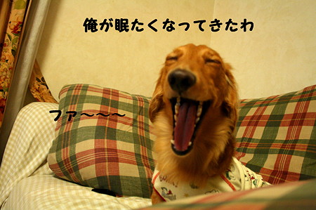 眠れない 7