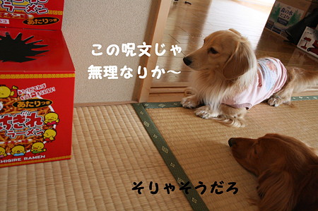 ぶちぎれラーメン 7
