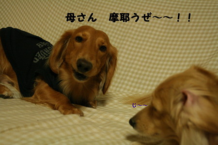 おやつ 7