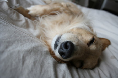 ZZZZZ~