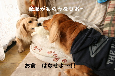 俺のおもちゃ 7