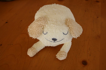 本日の一品