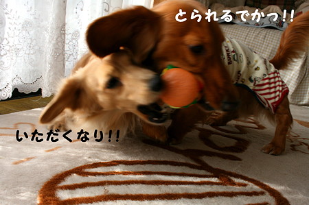 東矢くんと摩耶さん11