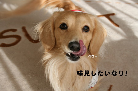 東矢くんと摩耶さん2