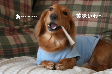 東矢くんと摩耶さん6
