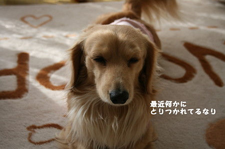 摩耶のつぶやき 2