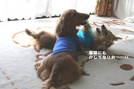 かしてなりお~~!!